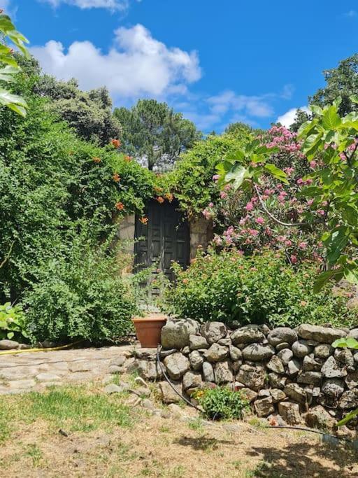 Casa Rural En Candeleda Con Piscina Y Un Maravilloso Jardin Exterior photo
