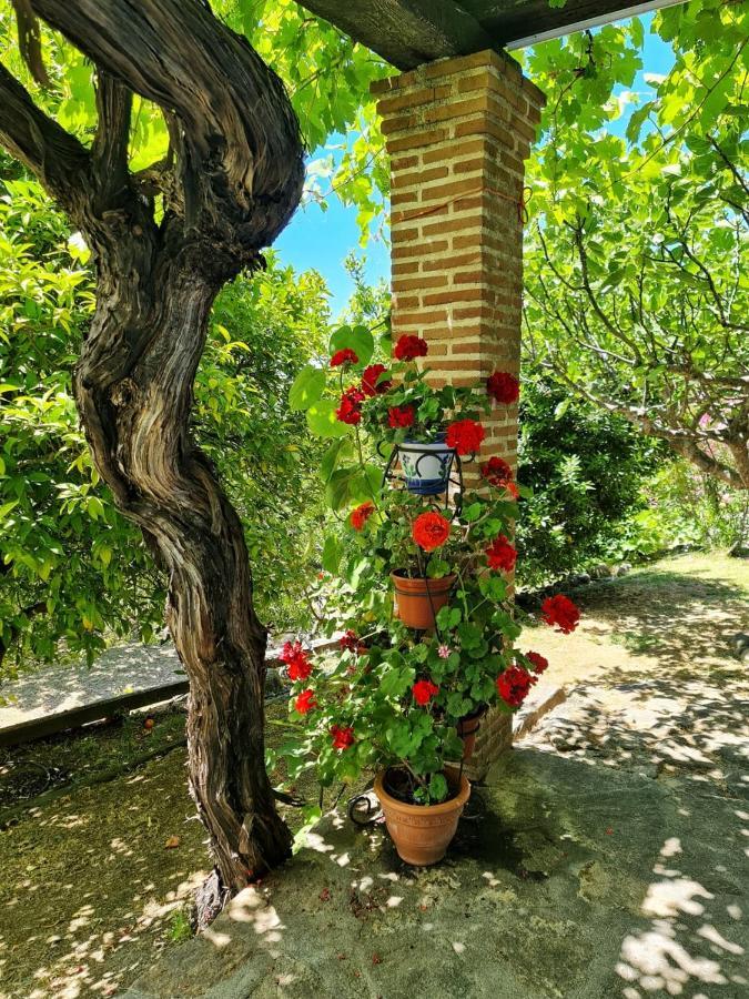 Casa Rural En Candeleda Con Piscina Y Un Maravilloso Jardin Exterior photo