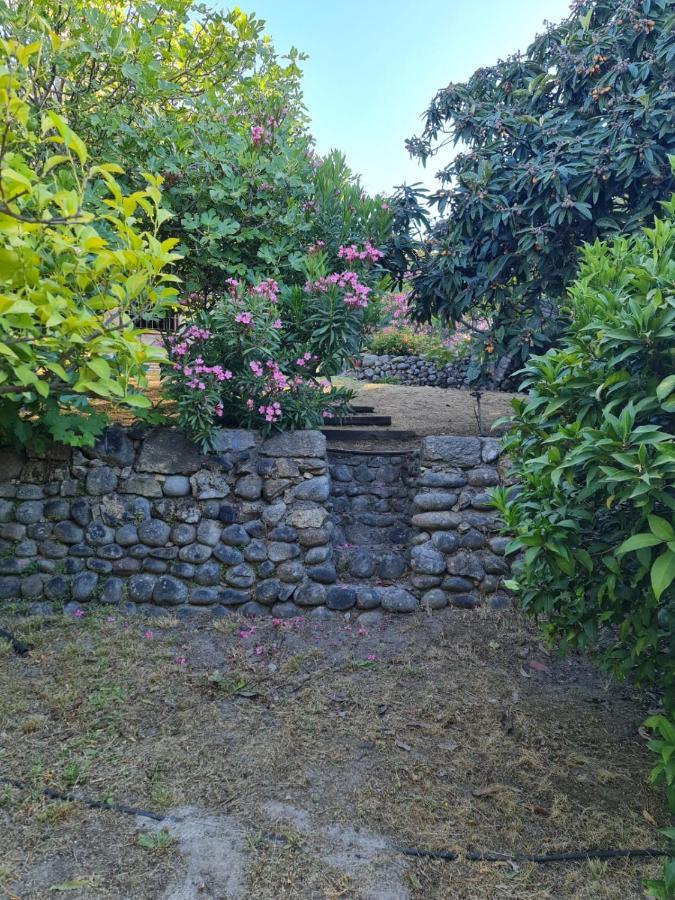 Casa Rural En Candeleda Con Piscina Y Un Maravilloso Jardin Exterior photo